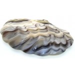 Mexican Onyx Scalloped Altar Dish 09
